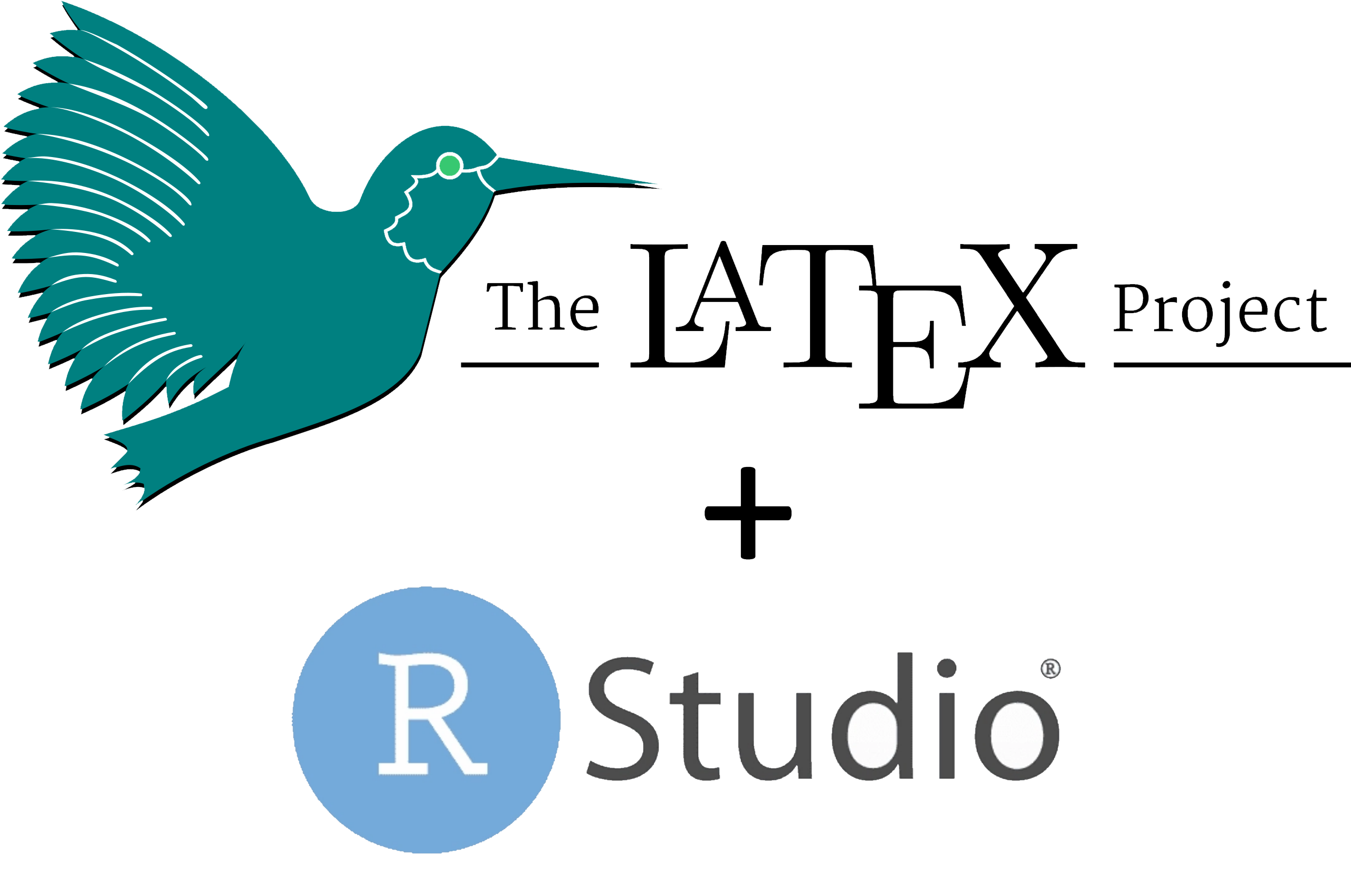 How to use Latex in RMarkdown